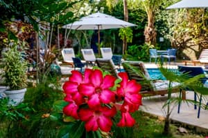 thumbnail: Garden