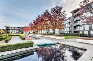thumbnail: Property grounds