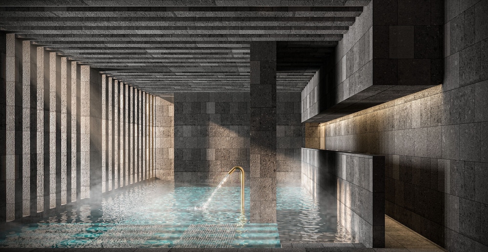 Swimming pool-spa