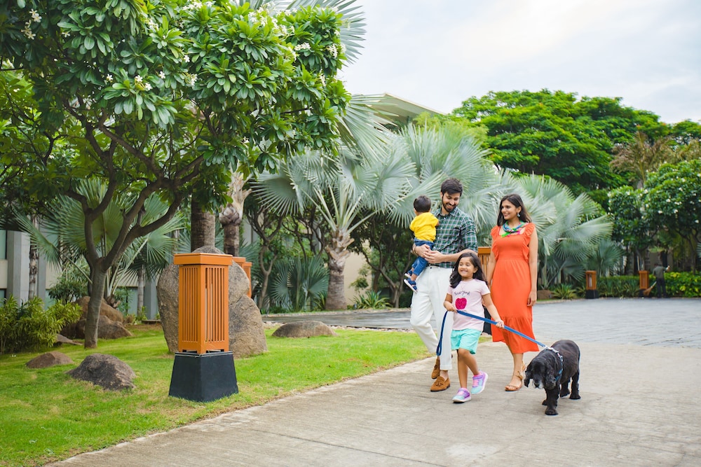 Children's activities
