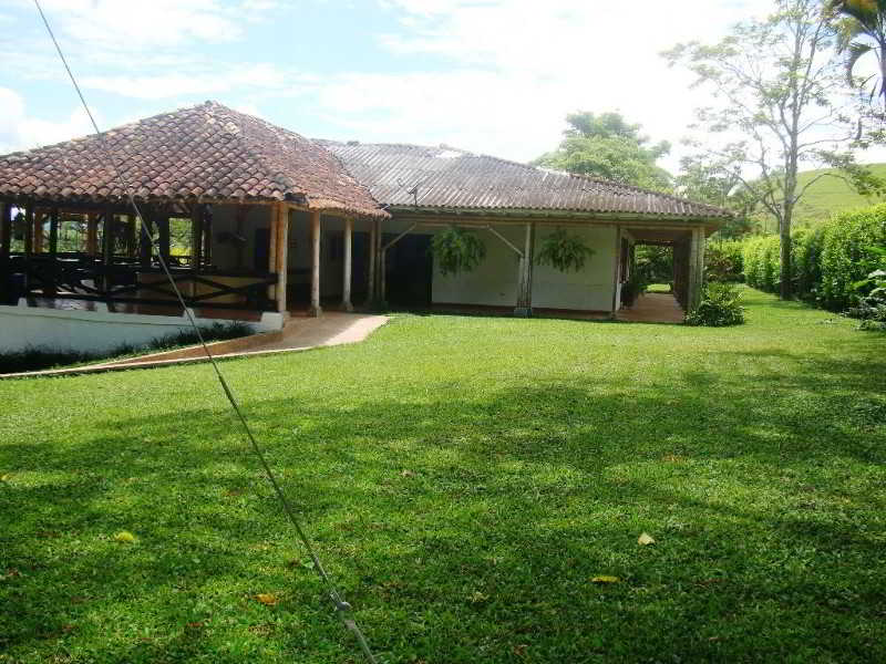General view