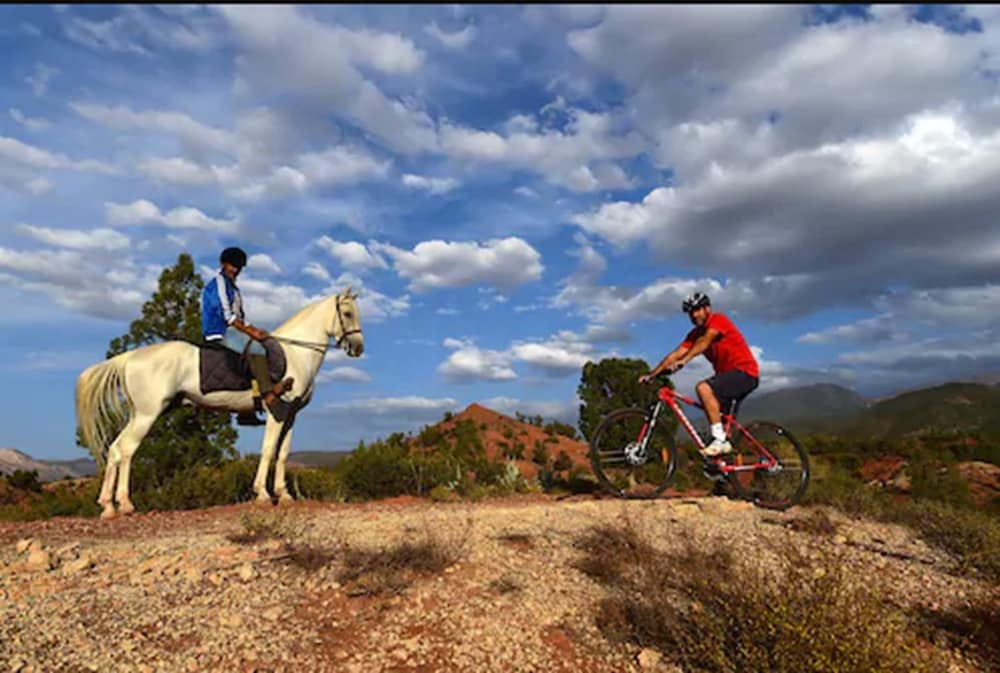 Bicycling