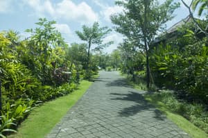 thumbnail: Garden