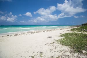 thumbnail: Beach