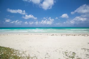 thumbnail: Beach