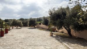 thumbnail: Property grounds