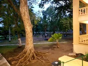 thumbnail: Garden