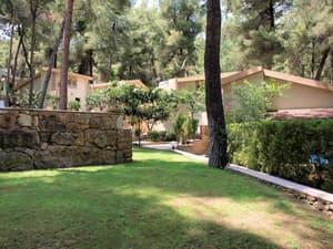 thumbnail: Garden