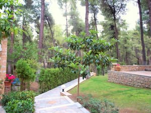 thumbnail: Garden