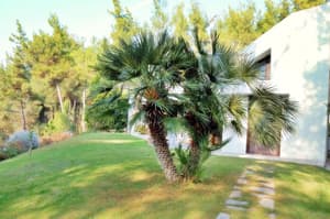 thumbnail: Property grounds