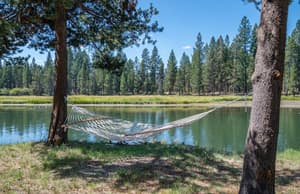 thumbnail: Property grounds