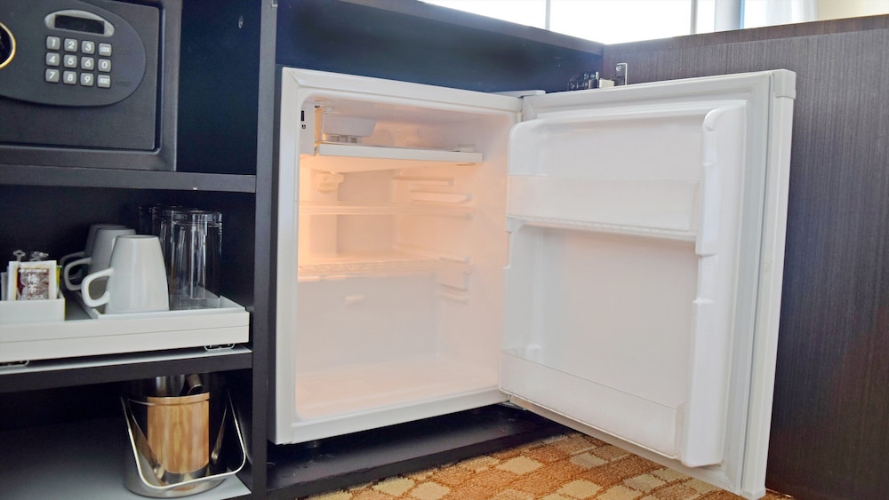 Mini-refrigerator
