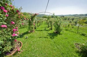 thumbnail: Garden