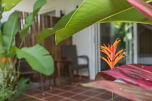 thumbnail: Terrace/patio