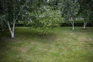 thumbnail: Garden