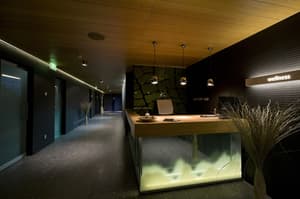 thumbnail: Reception