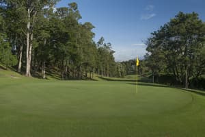 thumbnail: Golf