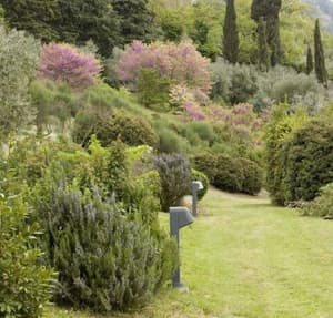 thumbnail: Garden