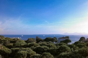 thumbnail: View from room