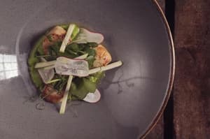 thumbnail: 154658034.jpg