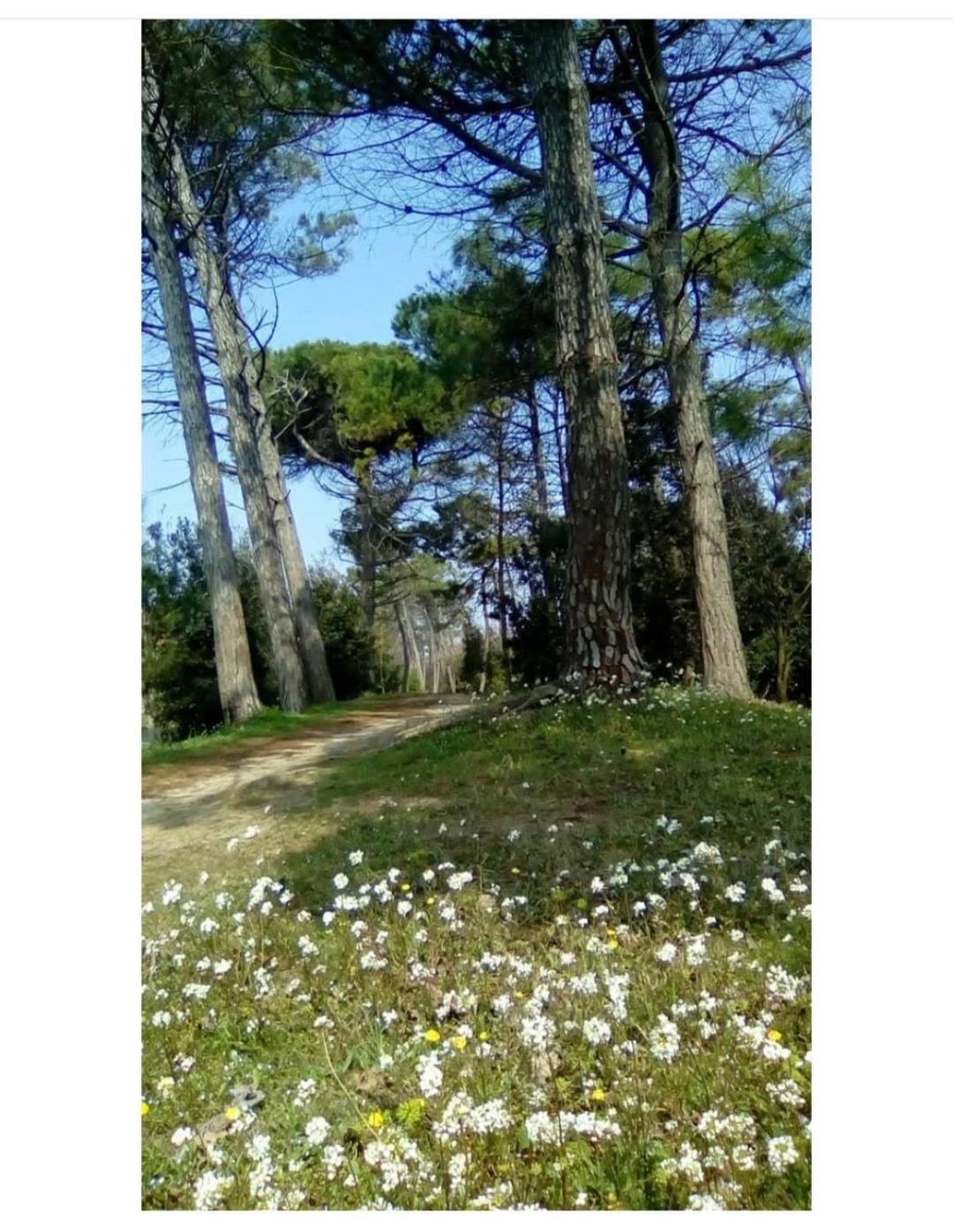 Surroundings