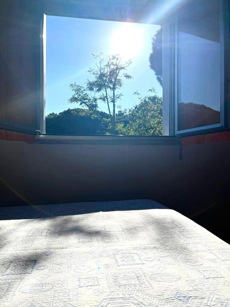 Surroundings