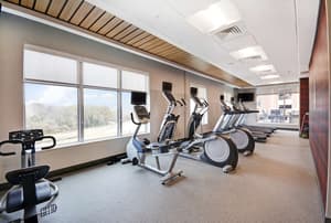 thumbnail: Fitness facility