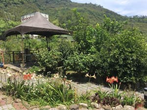 thumbnail: General view