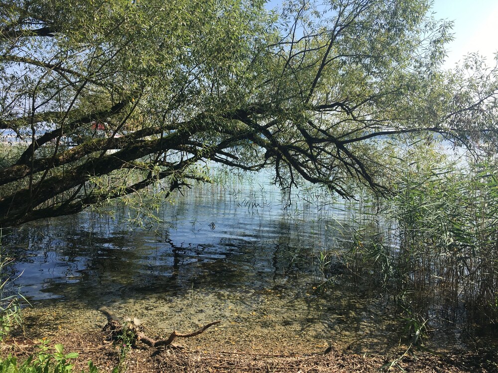 Hiking