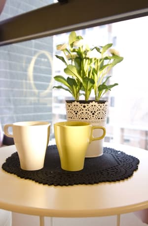 thumbnail: In-room dining