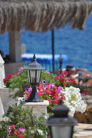thumbnail: Sundeck