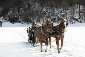 thumbnail: Horseback riding