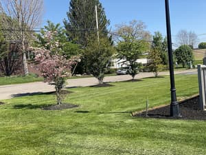 thumbnail: BBQ/picnic area