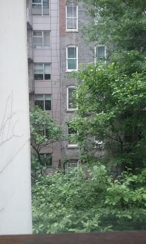 thumbnail: General view