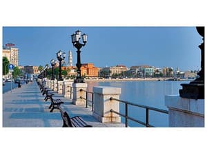 thumbnail: General view