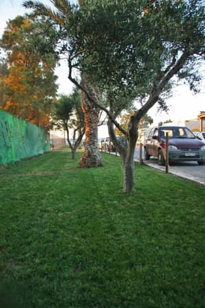thumbnail: Property grounds