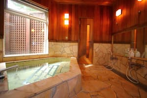 thumbnail: Indoor spa tub