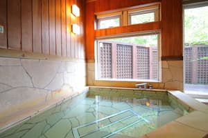 thumbnail: Indoor spa tub