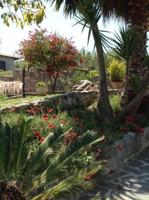 thumbnail: General view