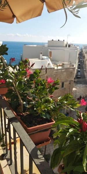 thumbnail: Terrace/patio