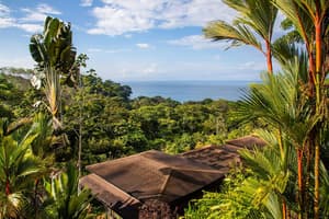 thumbnail: View from property