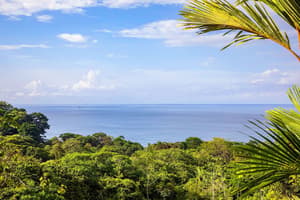 thumbnail: View from property