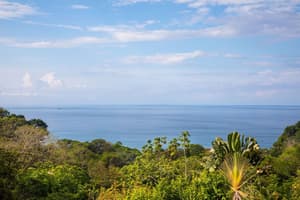 thumbnail: View from property
