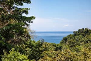 thumbnail: View from property