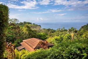 thumbnail: View from property