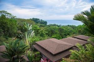 thumbnail: View from property