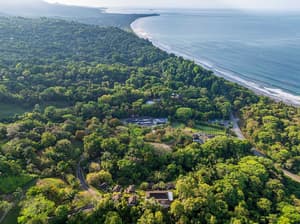 thumbnail: Aerial view