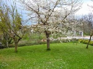 thumbnail: Property grounds