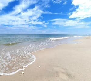 thumbnail: Beach