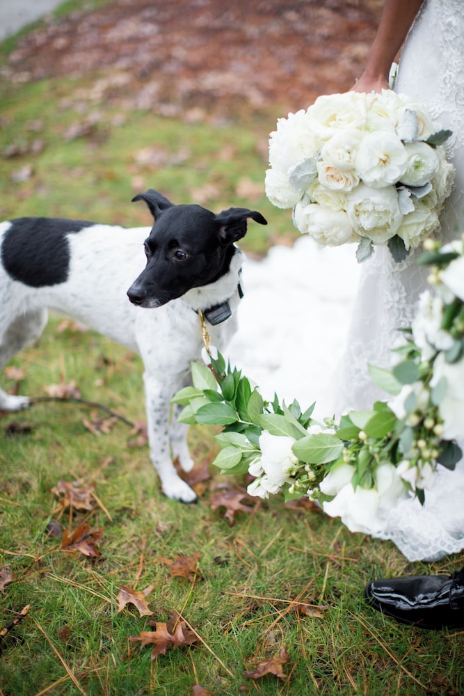 Outdoor wedding area
